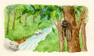 c0245905_2131338.gif