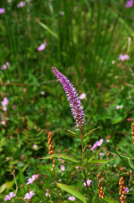 a0263109_9394963.jpg
