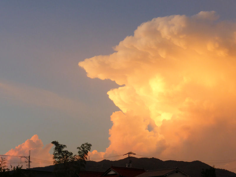 夕方に大きな入道雲 飛行機とパグが好きなお母さんの日記 夕方に大きな入道雲 飛行機とパグが好きなお母さんの日記