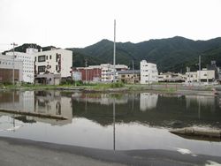 冠水の季節？_d0057215_2233467.jpg