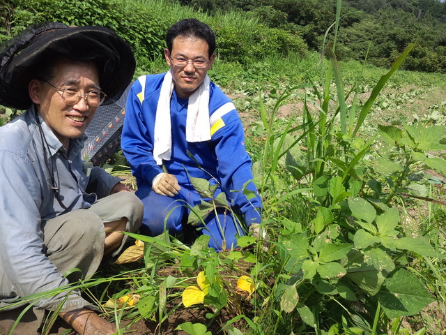 日本原演習場内の農地で雑草取りを手伝いました_d0155415_17414743.jpg