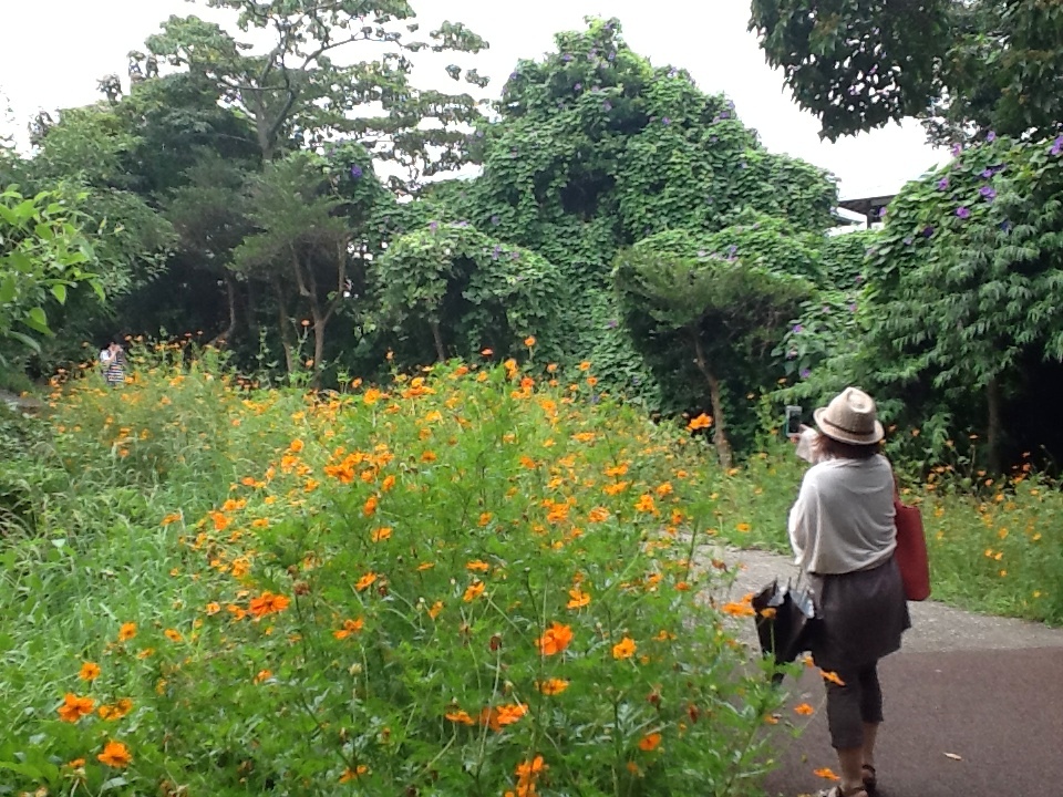 至福の時・・久しぶりの旅（伊豆高原）_f0092320_20514396.jpg