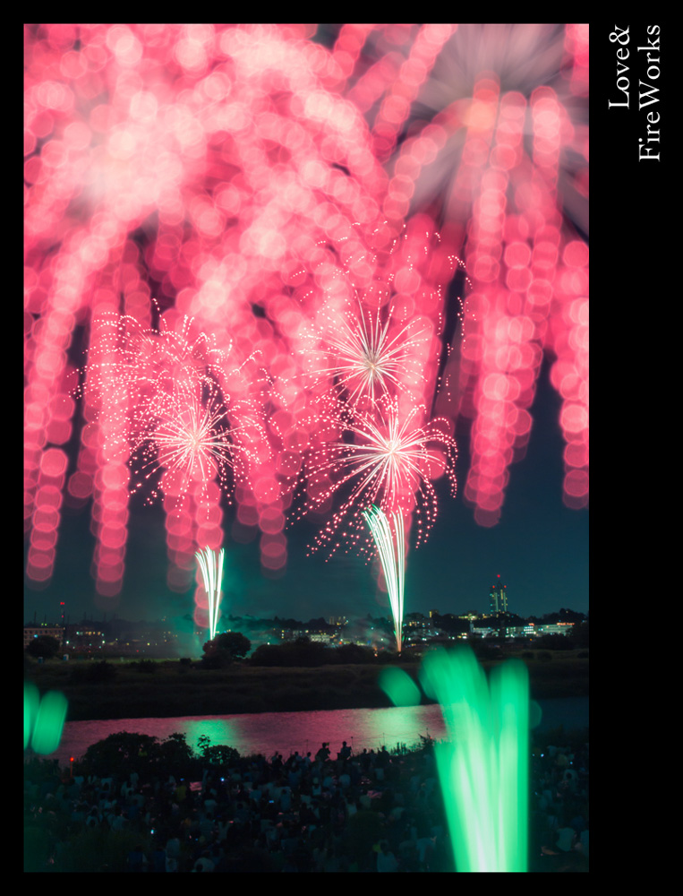fireworks2013-4「恋の花とゆうよりは」_b0127032_037567.jpg