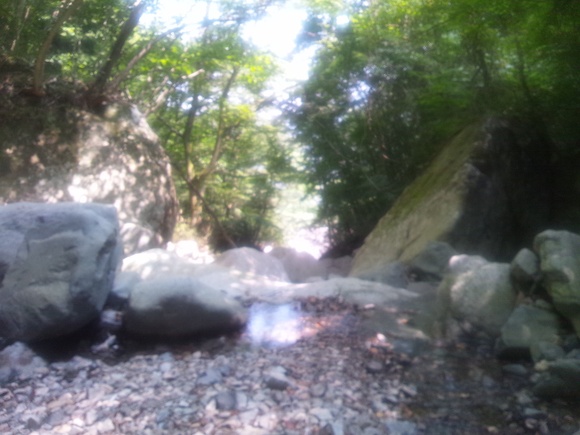 毛無山_b0208246_14521655.jpg