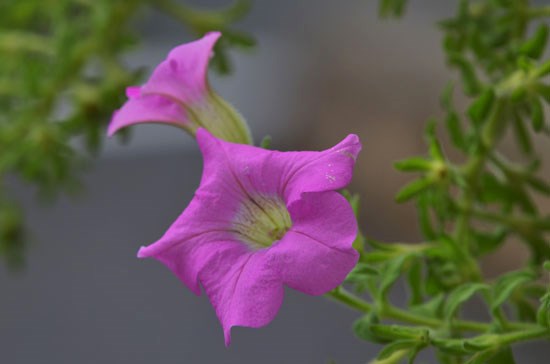 c0093046_68614.jpg