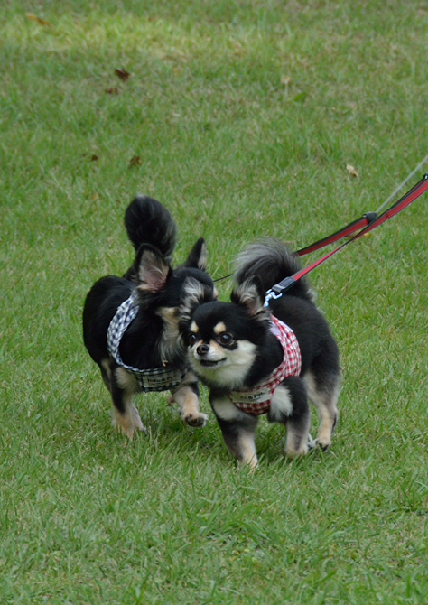 f0065768_1157199.jpg