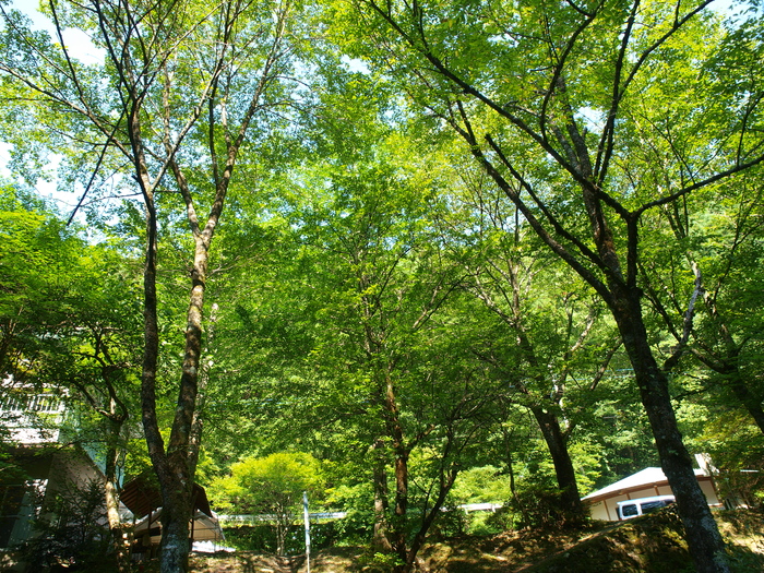 a0260570_82893.jpg