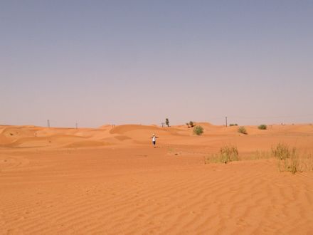 e0066474_1449018.jpg
