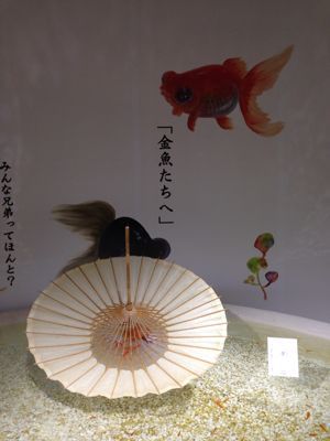 金魚展_a0014783_1511375.jpg