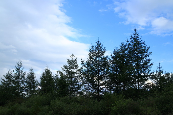 野辺山・清里旅行 1日目 ~JR最高地点~_e0320384_1433929.jpg