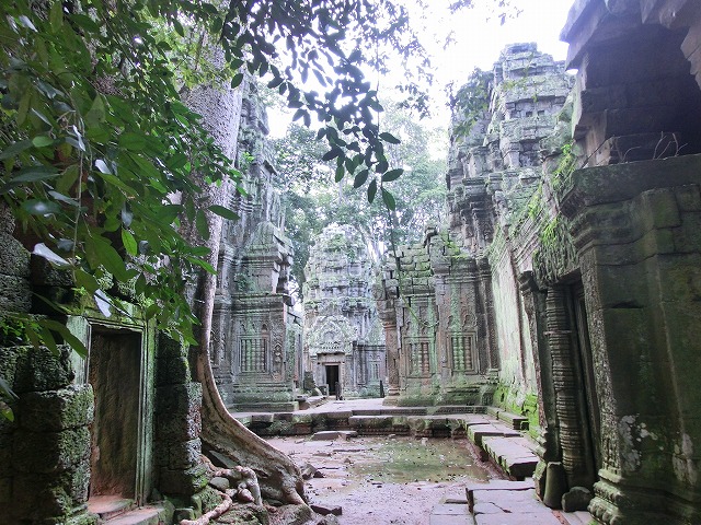 a0128688_12153694.jpg