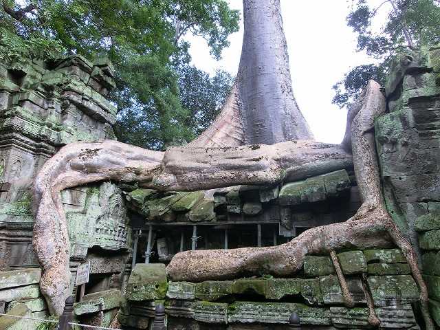 a0128688_12155290.jpg