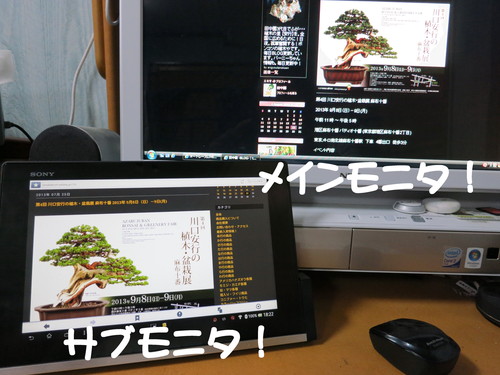 常にネットに繋がる環境が必須！_b0200291_1859398.jpg