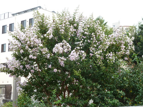 f0166694_111849.jpg