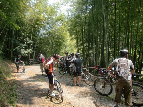 ＭＴＢサイクリング（？）_d0115997_21364880.jpg