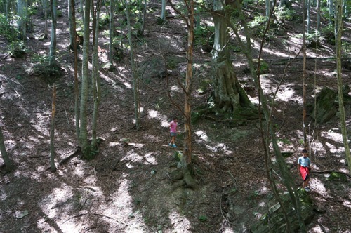 犬も子供も歩く、歩く_f0106597_18465828.jpg