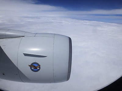 b0069507_583279.jpg
