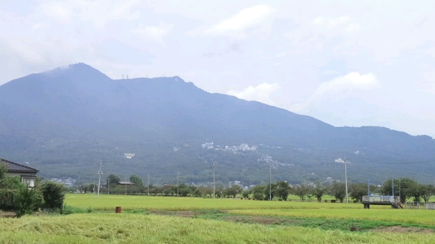 f0155808_1213493.jpg