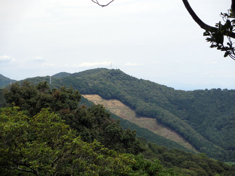 二川自然歩道２_e0293913_22115249.jpg