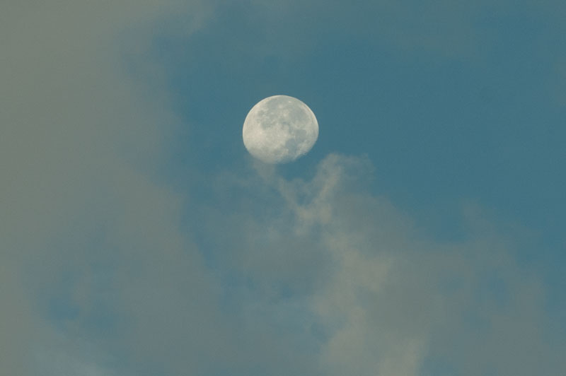 a0278914_9422260.jpg