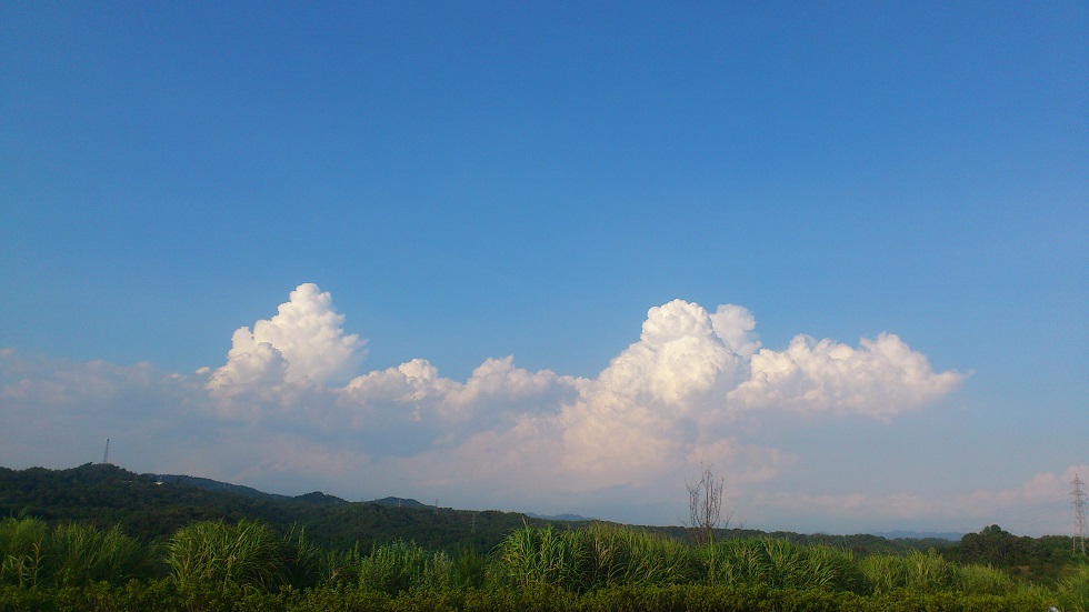 残暑見舞い・・・もう遅いですか？豪雨！注意デス！_f0190816_12392427.jpg