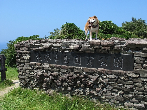 b0225620_227232.jpg
