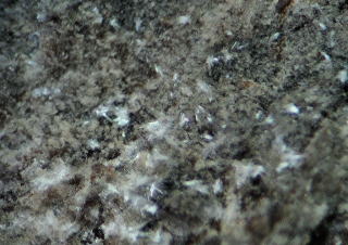 d0045626_8191796.jpg