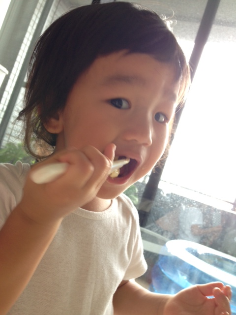 明日で2歳になります(涙)_e0253026_9285181.jpg