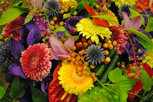 e0200933_1726160.jpg