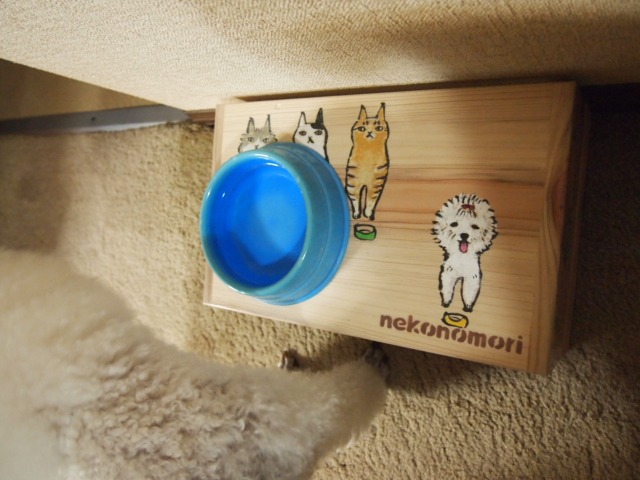 c0117239_83162.jpg