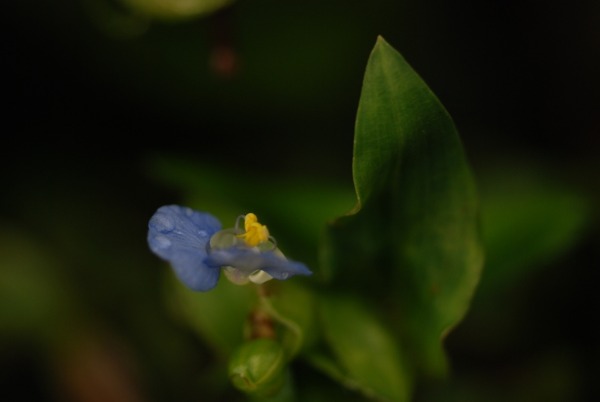 f0229844_1125311.jpg