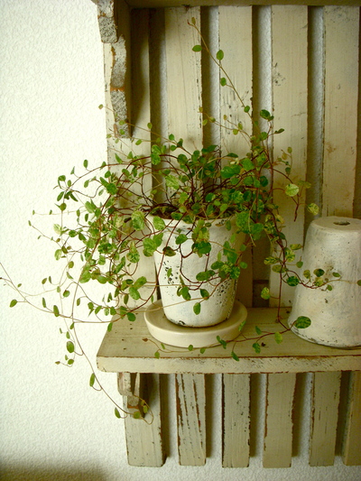日常。。。_a0229658_10111424.jpg