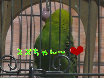 f0196665_931596.png