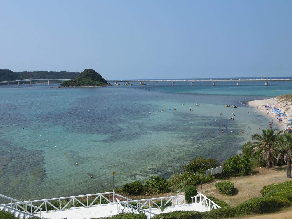 田舎の探索　　今年は少なめかな？　2013.8.14下関市_a0146869_225332.jpg