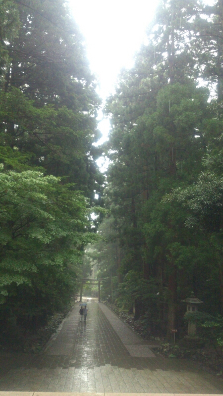 カニづくし会席膳／雨の弥彦神社_d0182179_18285883.jpg