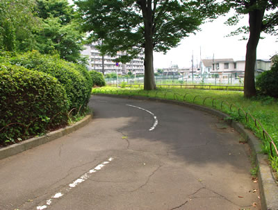 八王子の公園/中田遺跡公園(後編)_b0123486_9235568.jpg