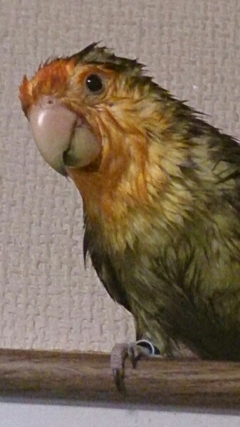 e0001906_11573138.jpg