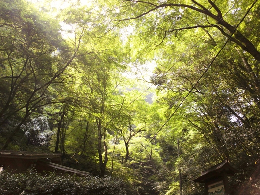 夏の思い出*　　※　続きです♪　　　　　　　　　　* 携帯写真 *_d0238608_23343414.jpg