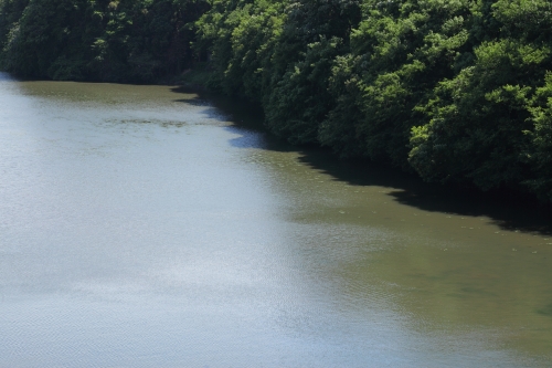 c0211309_816528.jpg