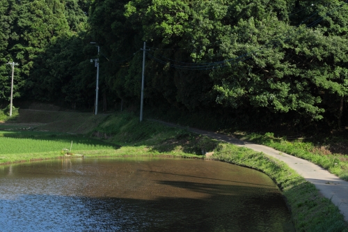 c0211309_8263445.jpg