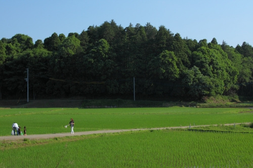 c0211309_8263665.jpg
