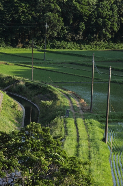 c0211309_8345077.jpg