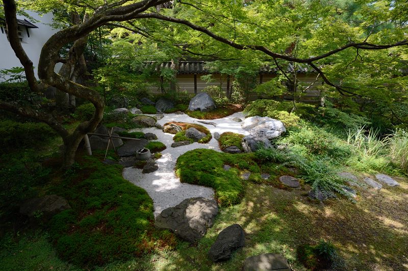 夏寺・永観堂　禅林寺　其の一_f0032011_18124537.jpg