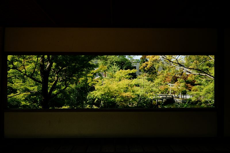 夏寺・永観堂　禅林寺　其の一_f0032011_1893560.jpg