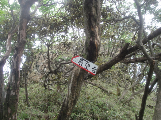 b0291016_32588.jpg