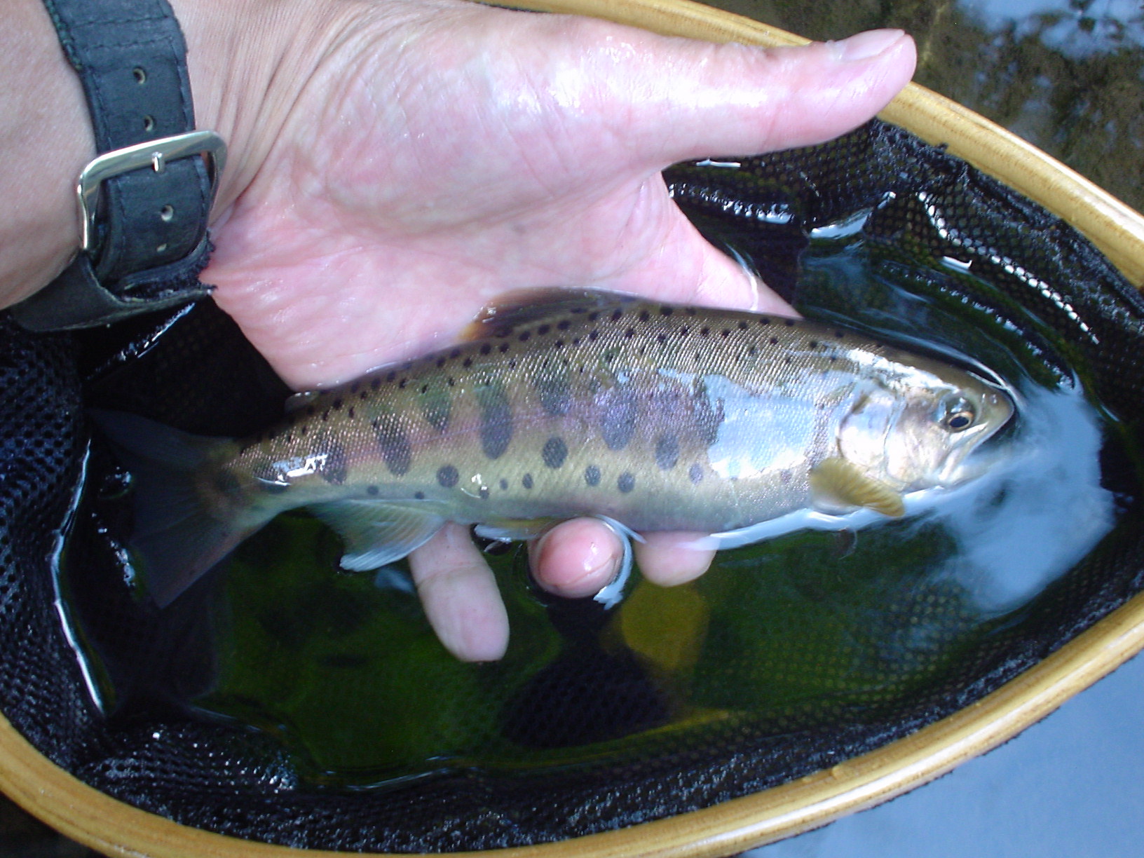 f0280717_60244.jpg