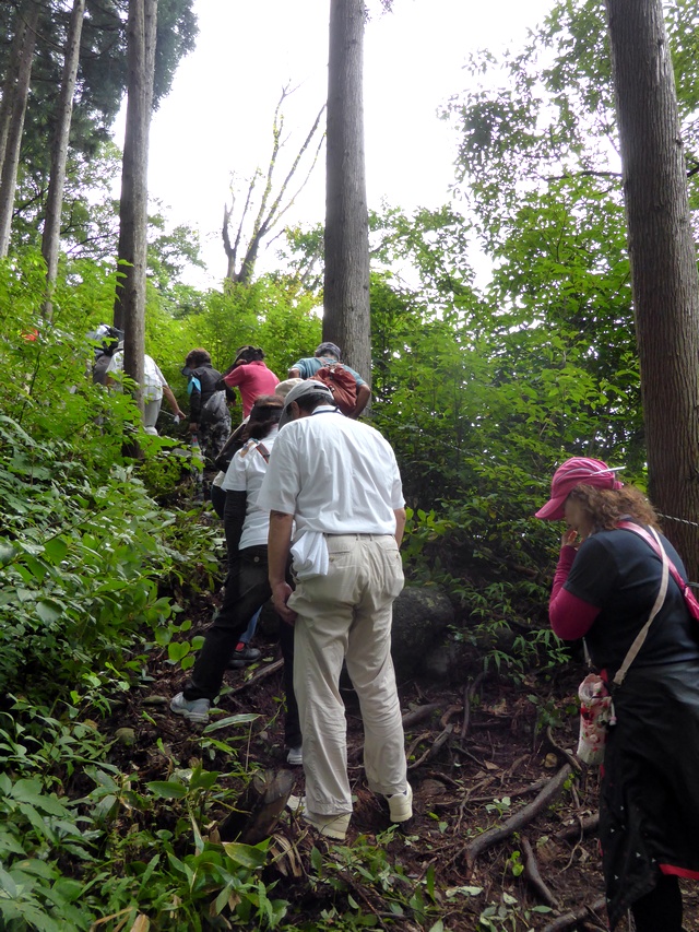 ウォーキングと親睦会！_a0256418_2049507.jpg