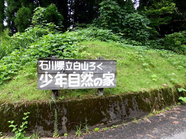 a0256418_20501297.jpg