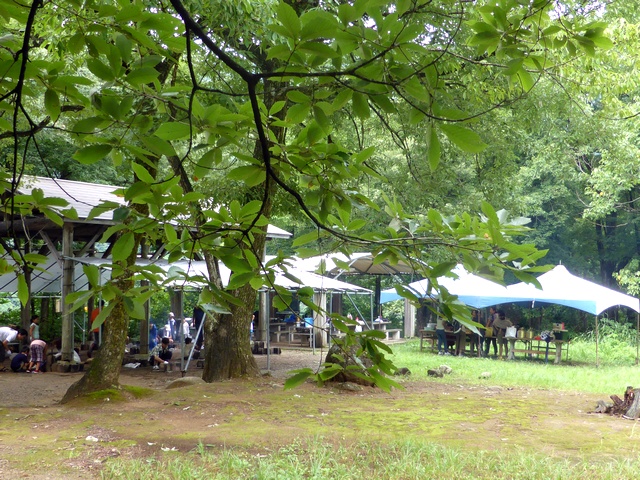 a0256418_2050254.jpg