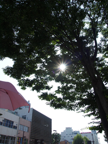 フェスティバル FUKUSHIMA_d0062721_6433167.jpg